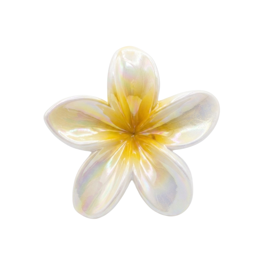 [LCAI1735] CLIP PARA CABELLO FLORAL